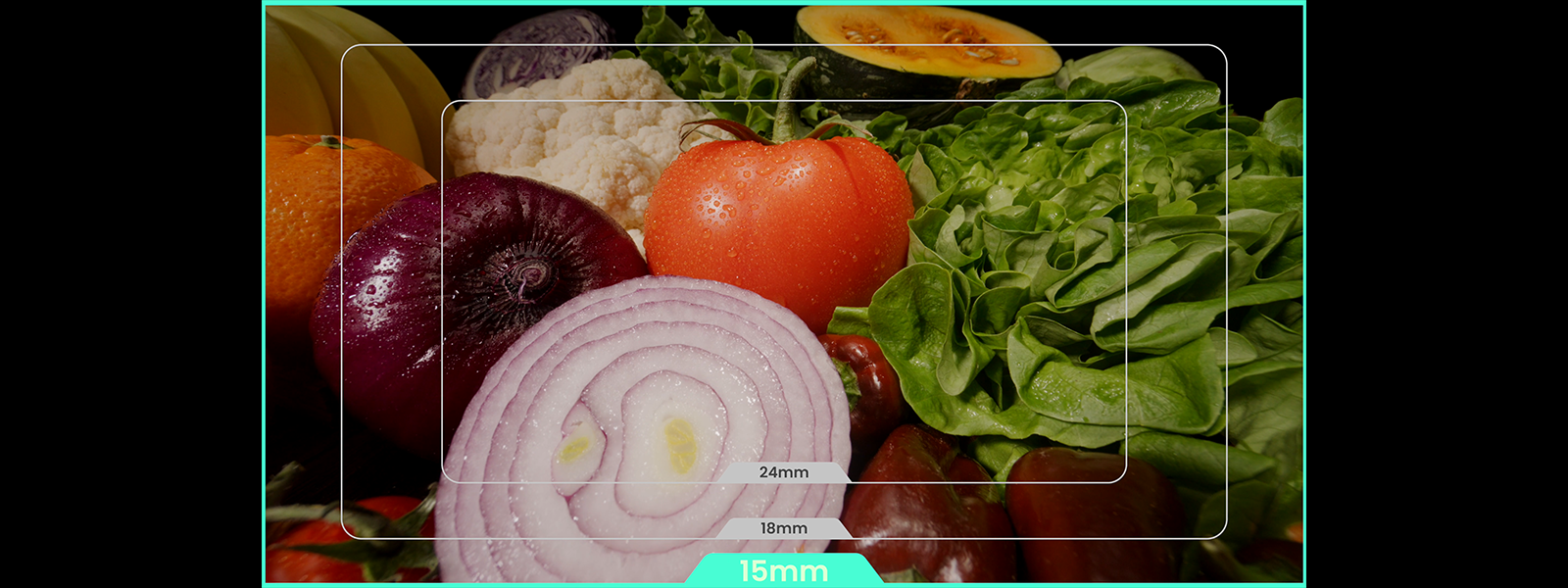 1773478969492111.png 12.png